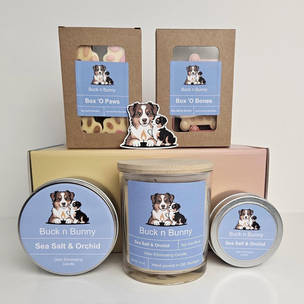 Sea Salt & Orchid | Full Collection