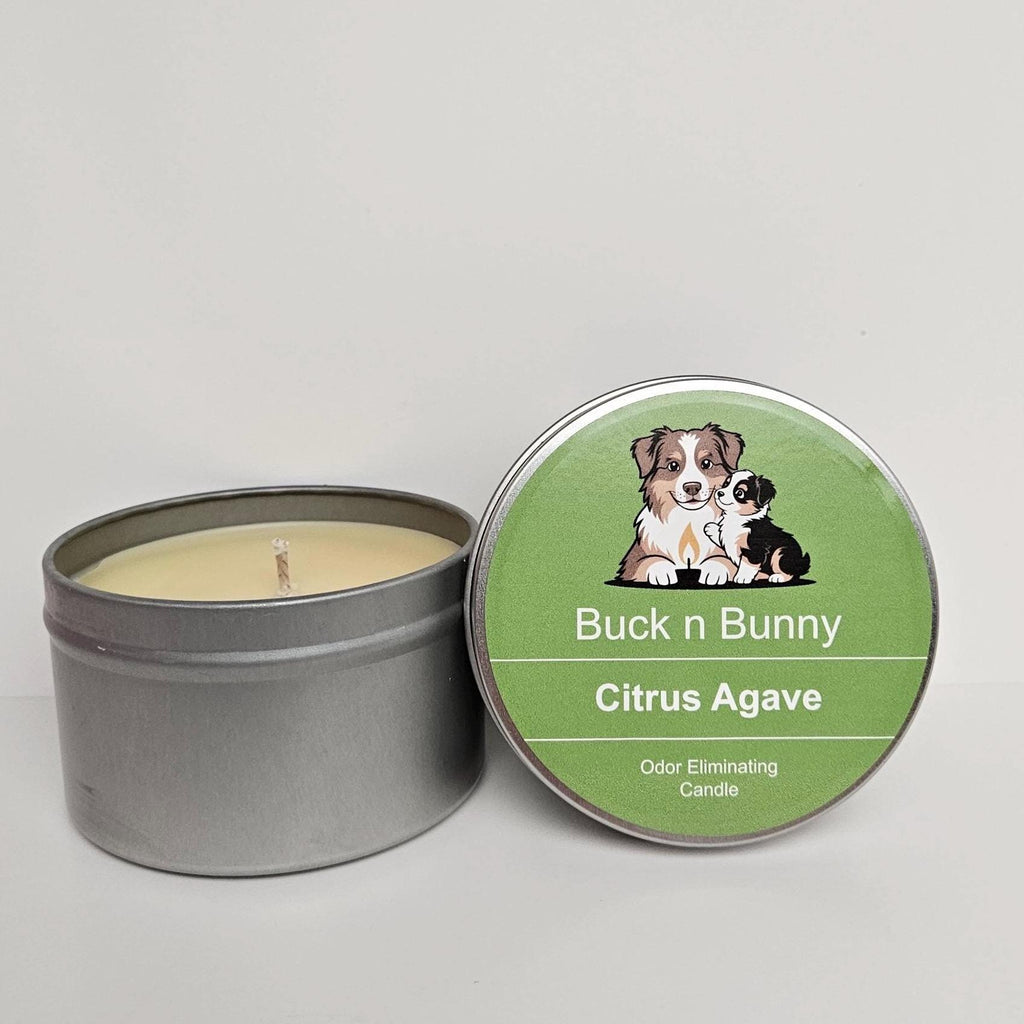 Citrus Agave | Full Collection