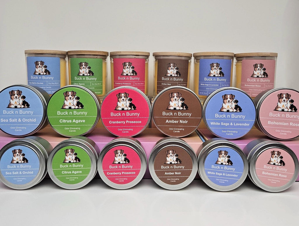 Sea Salt & Orchid | Odor Eliminating Candle | 4 oz Tin Candle