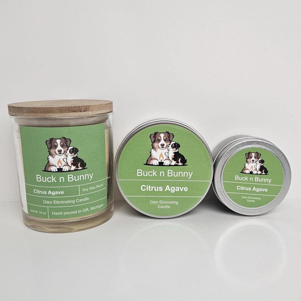 Citrus Agave | Odor Eliminating Candle | 10 oz