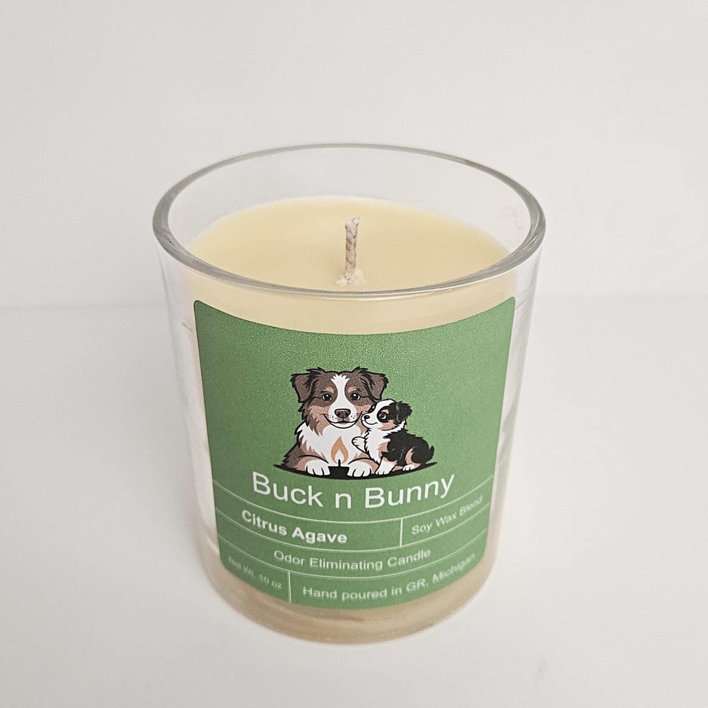 Citrus Agave | Full Collection