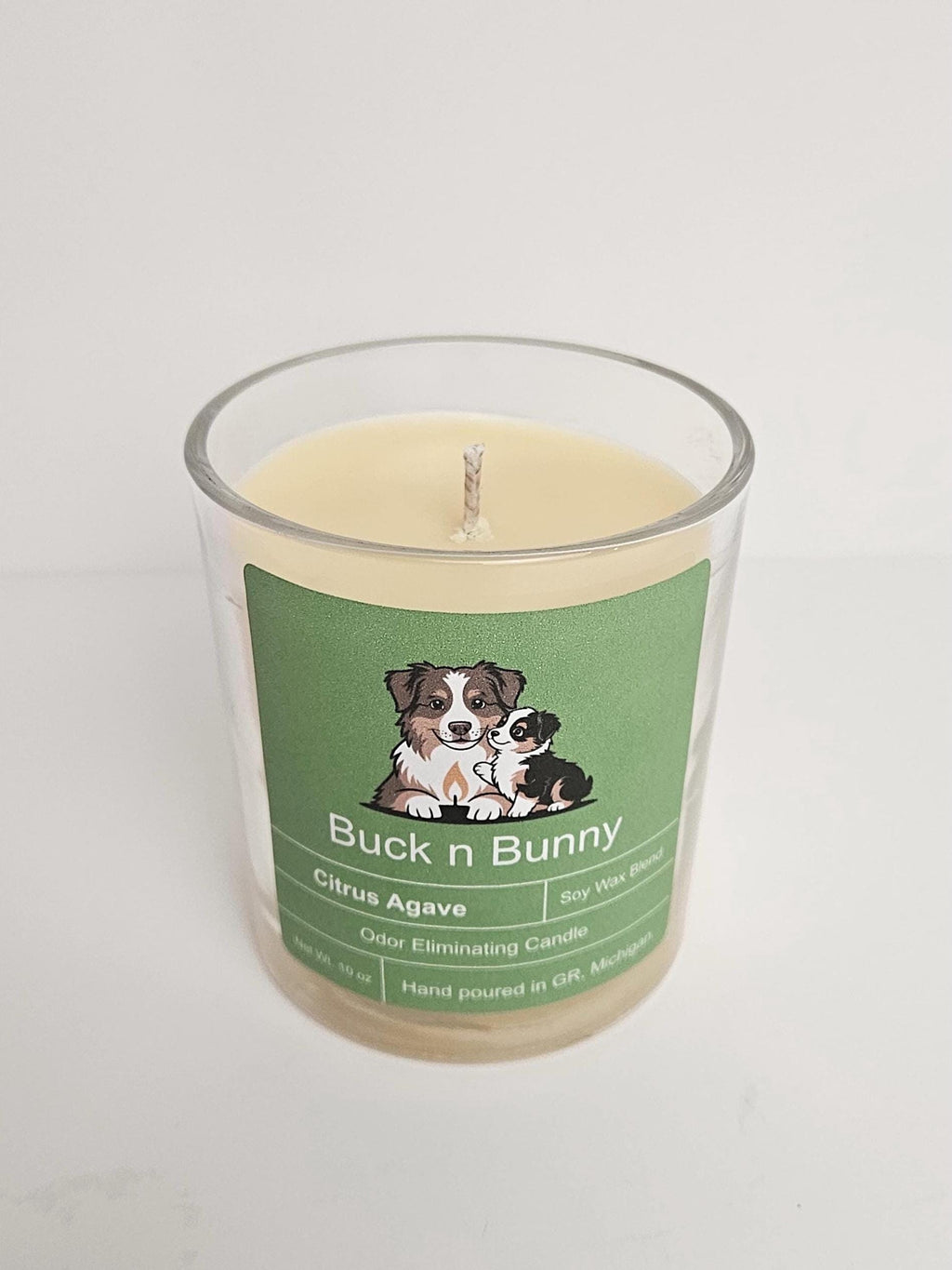 Citrus Agave | Odor Eliminating Candle | 10 oz