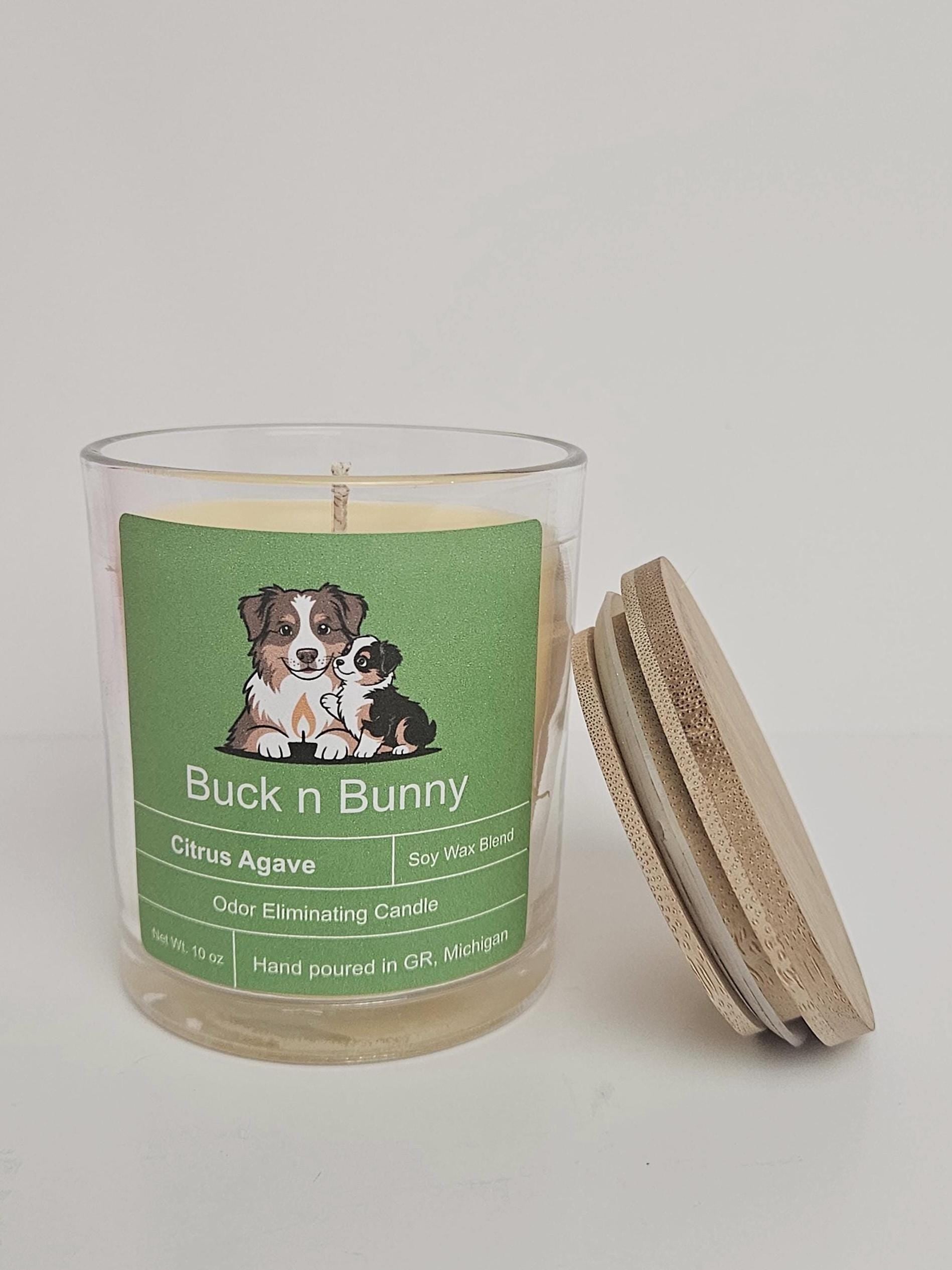 Citrus Agave | Odor Eliminating Candle | 10 oz