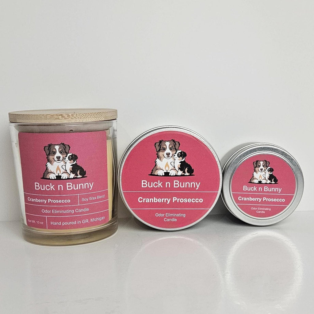 Cranberry Prosecco | Odor Eliminating Candle | 10 oz