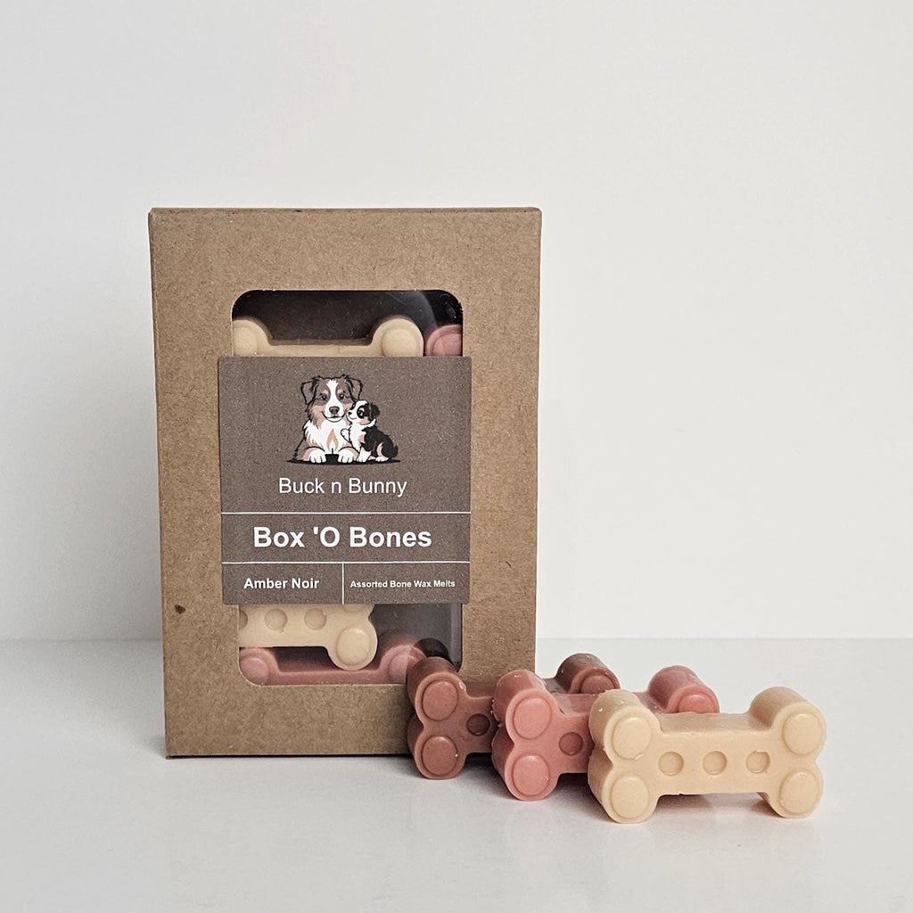 Amber Noir | Full Collection