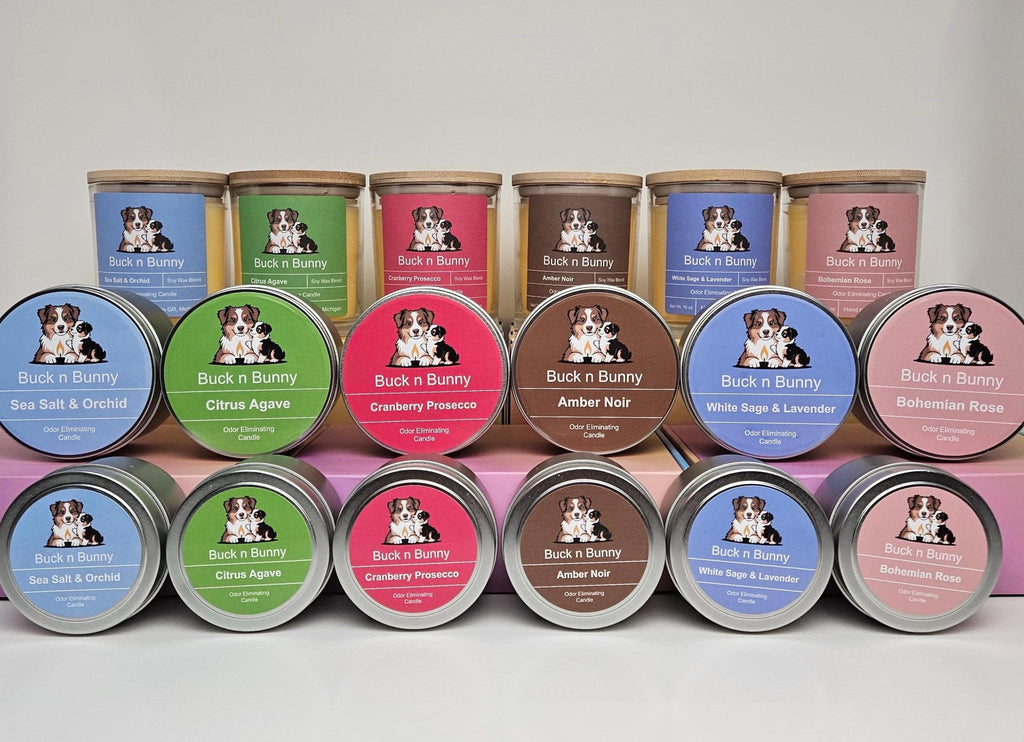 Cranberry Prosecco | Odor Eliminating Candle| 4 oz Tin Candle