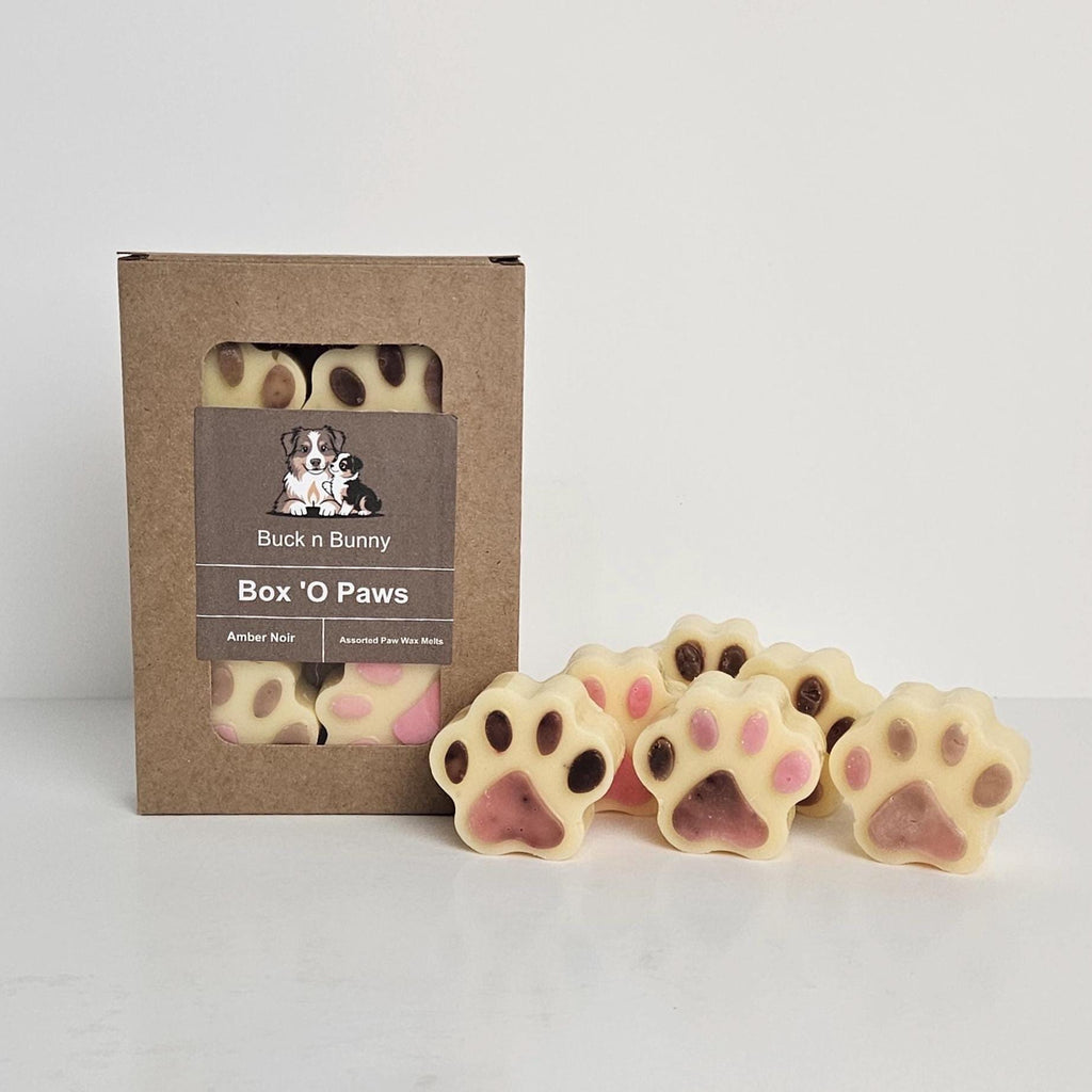 Amber Noir | Full Collection