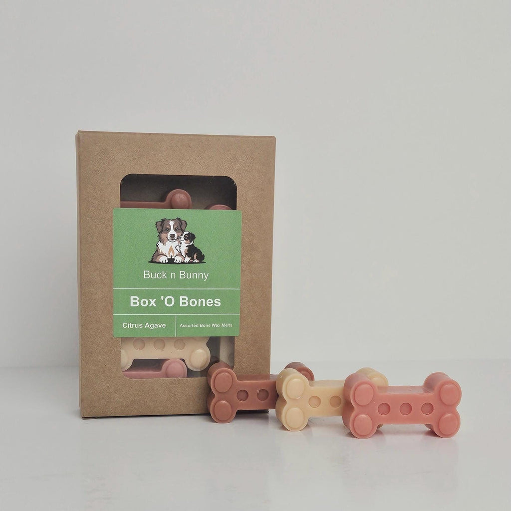 Citrus Agave | Full Collection