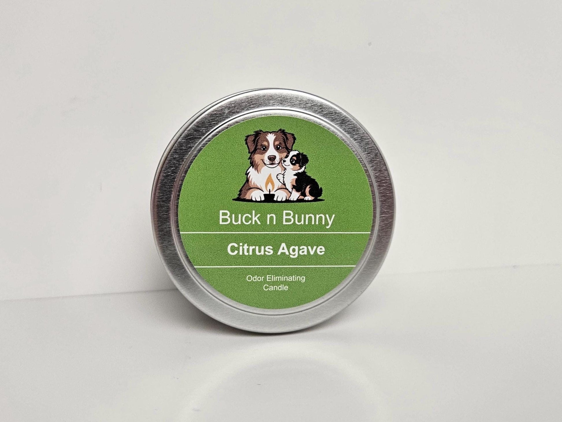 Citrus Agave | Odor Eliminating Candle | 4 oz Tin Candle