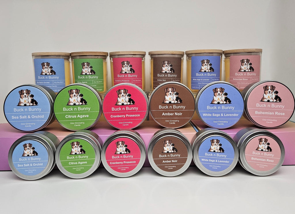 White Sage & Lavender | Odor Eliminating Candle | 4 oz Tin